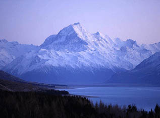nz.jpg