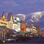 Whitefish