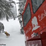 fernie bc's island lake catskiing