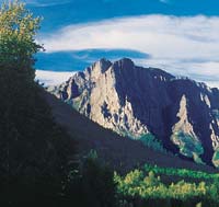 History of Fernie