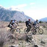 Old Goats riding the open flats with Mount Broadview in the background.