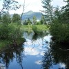 Annex pond Fernie