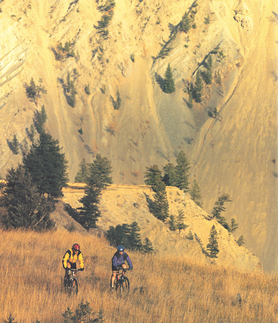biking fernie