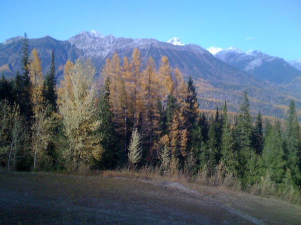 img_0120.jpg