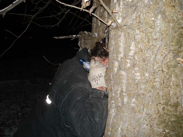 tree-hugger.jpg