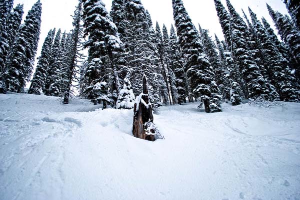 joe-and-meg-go-skiing-part-deux-4.jpg