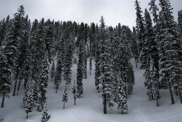 joe-and-meg-go-skiing-part-deux-9.jpg