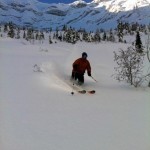 skiing fernie alpine resort