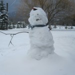Fernie snow sliding Fernie snow sliding