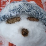 Fernie snow sliding