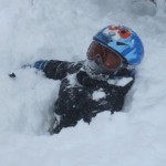 Nathan skiing Fernie powder