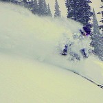 fernie powder