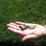IMG_0505 IMG_0505