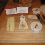 IMG_0181 IMG_0181
