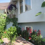 fernie in bloom, korean 035