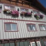 fernie in bloom, korean 037