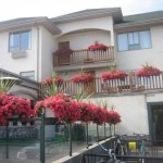 fernie in bloom, korean 038