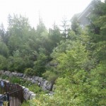 fernie in bloom, korean 041