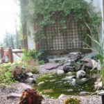 fernie in bloom, korean 045