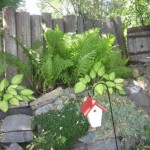fernie in bloom, korean 076