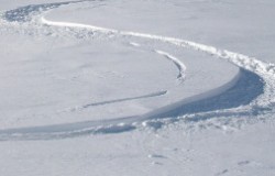 Off CAmber