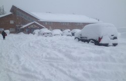 Fernie snow