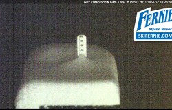 griz-2 image