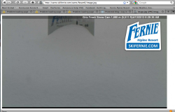 Griz Powder