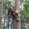 Fernie BC