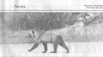 bearstreets news