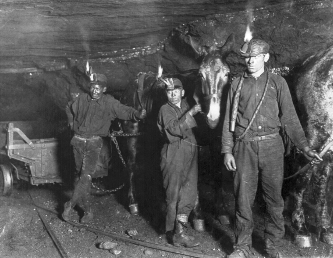 Fernie miners