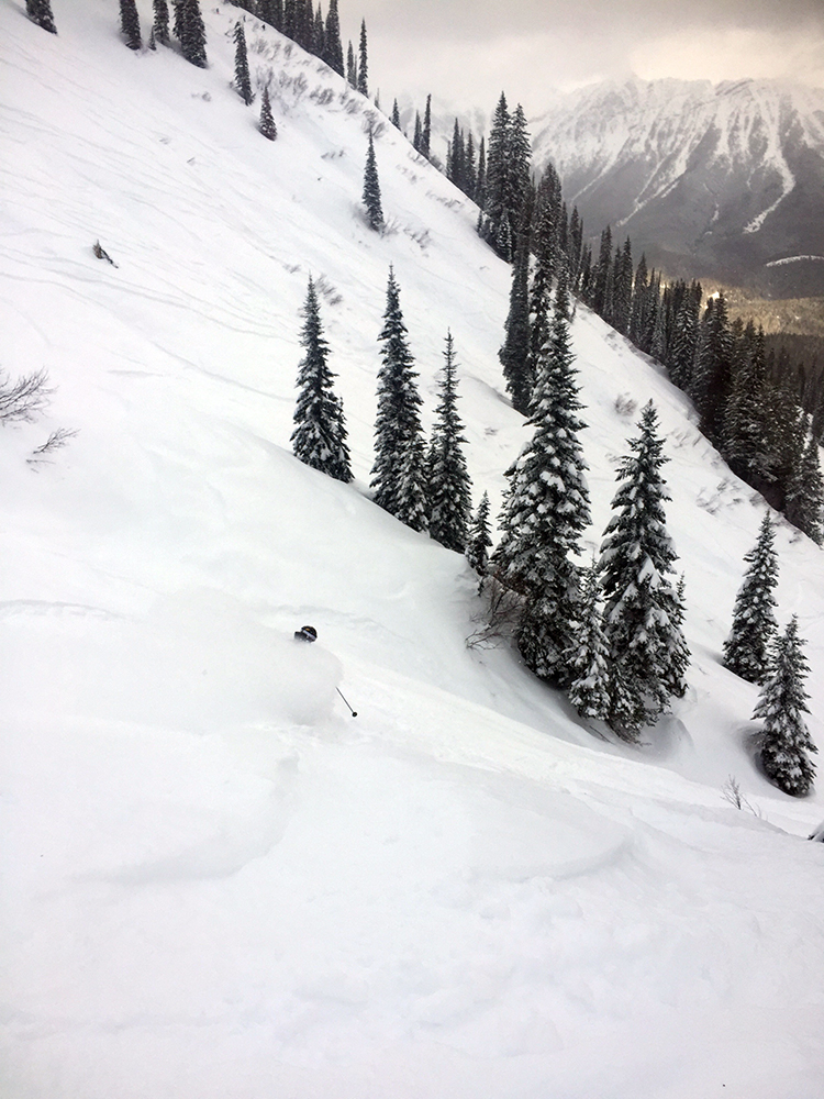 Fernie locals report
