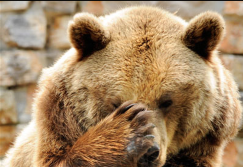 Bear spray