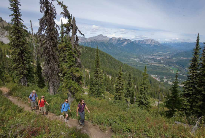 Guided hikes at Fernie Alpine Resort