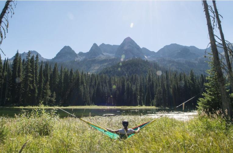 Hammock Day at Island Lake!