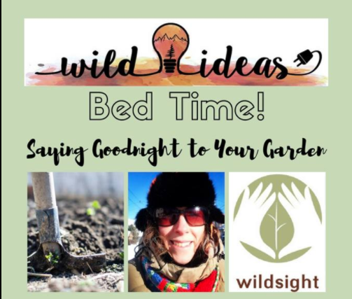 Wild Ideas!
