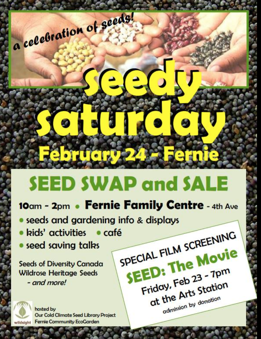 Seedy Saturday