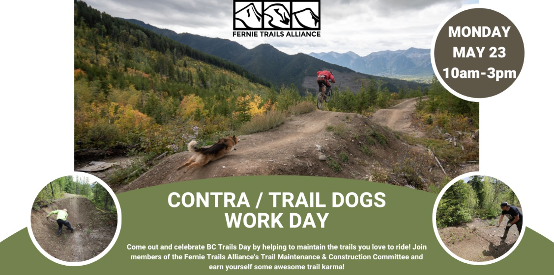 Celebrate BC Trails Day maintaining Contra and Trail Dogs
