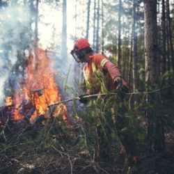 BC Wildfire Service issued a Category 3 open burning ban