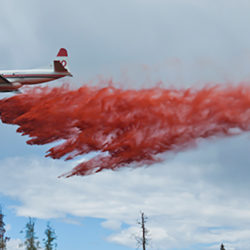 Evacuation Alert Issued for 6 Properties near Cranbrook