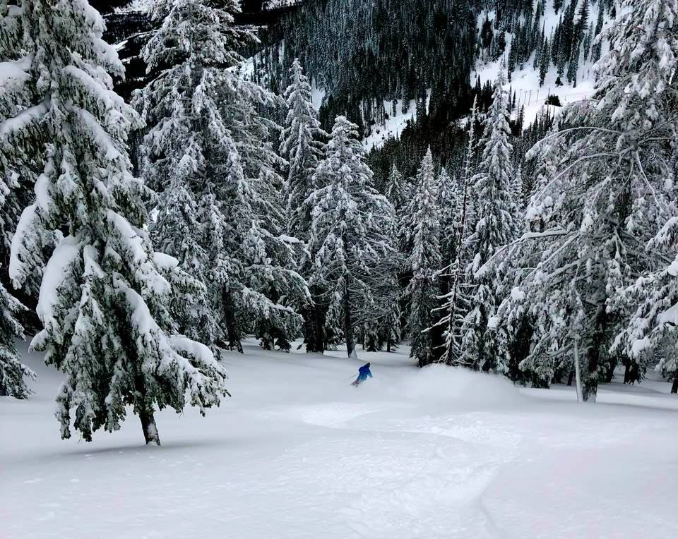 Fernie snow online report