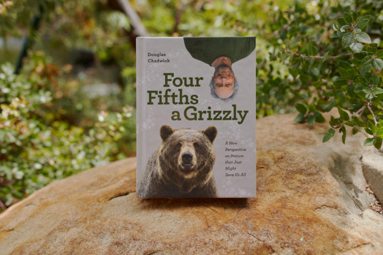 Four Fifths a Grizzly Book Tour