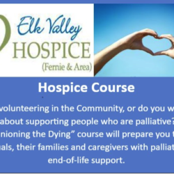 Looking for Volunteer Hospice Companions