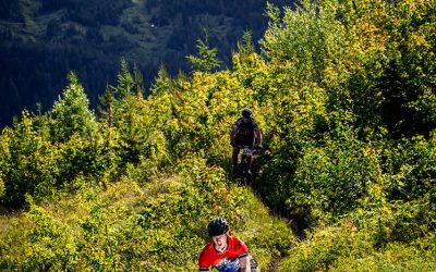 Fernie Enduro  preview