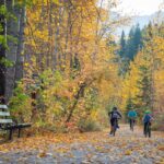 Fernie Seeks GoByBike Community Coordinator