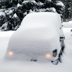 Fernie's Collective Stoke is Building for Winter