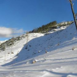 Wildsight Reflects on Nature Conservancy of Canada Purchase