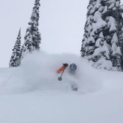 The Fernie Factor Arrives for the Holidays