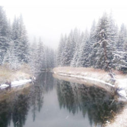 BC's Environmental Assessment Office Seeks Public Input on Expedited Environmental Reviews