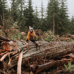 Clearcut Logging in B.C. Takes Centre Stage at Wildsight Event on Watershed Risks